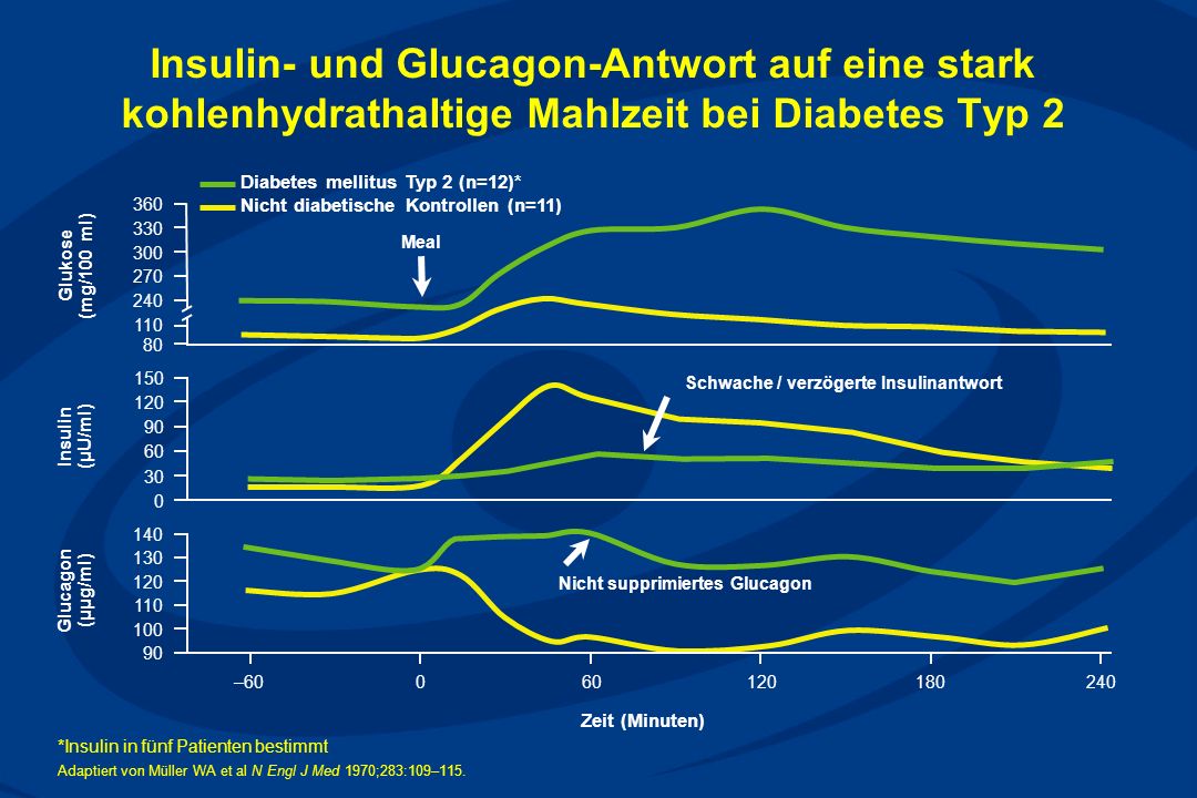 diabetes mellitus typ1 und typ 2 unterschiede mt